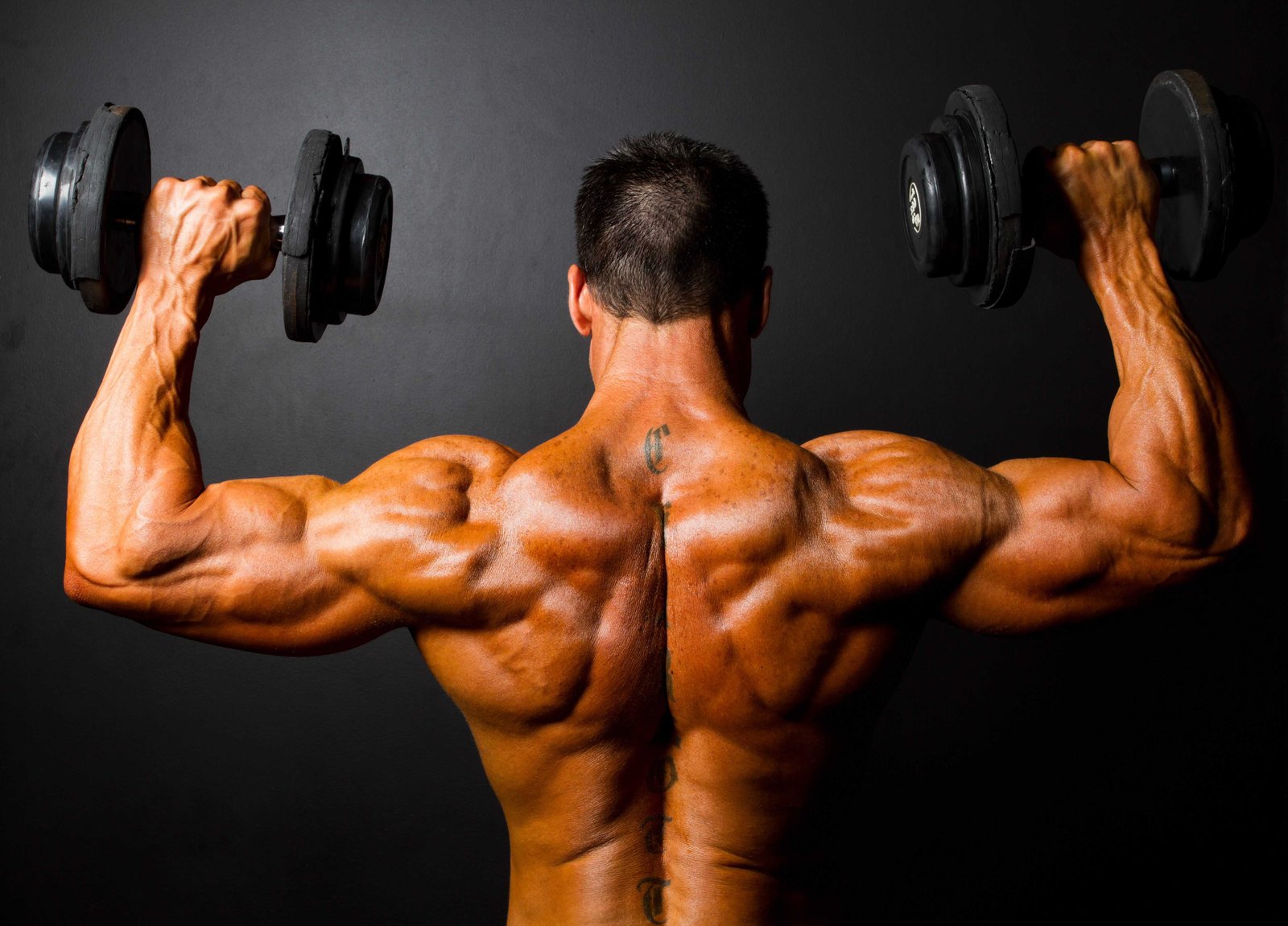 The Best Exercises For Shoulder Muscles