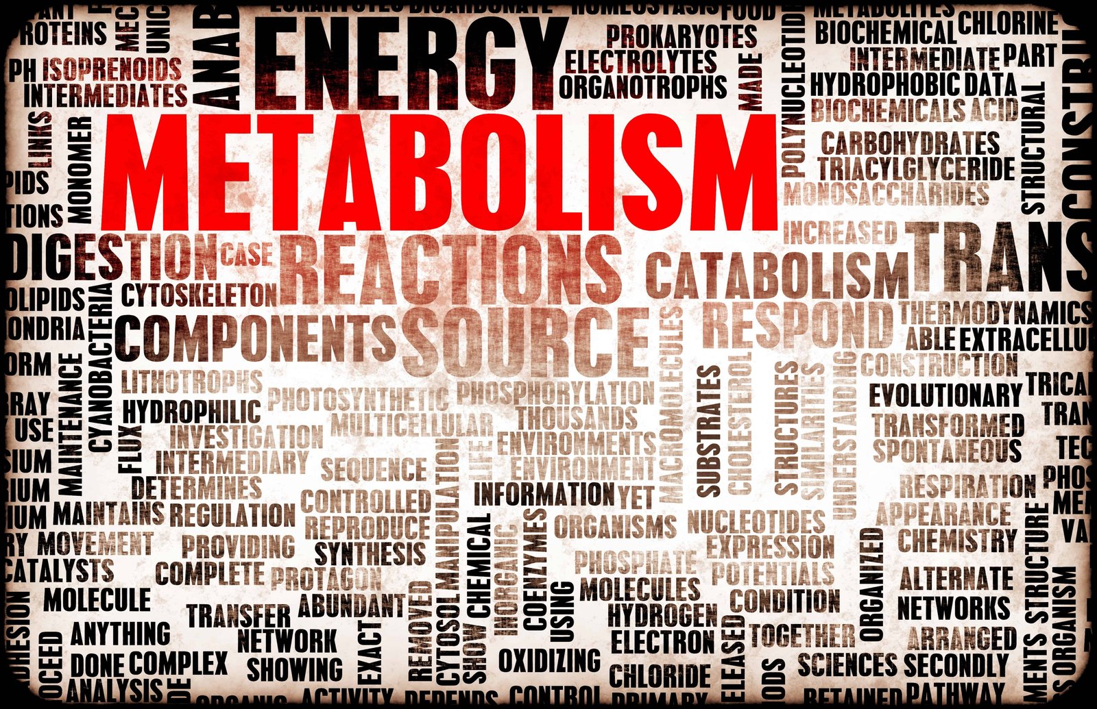 Four Common Mistakes That Slow Your Metabolism