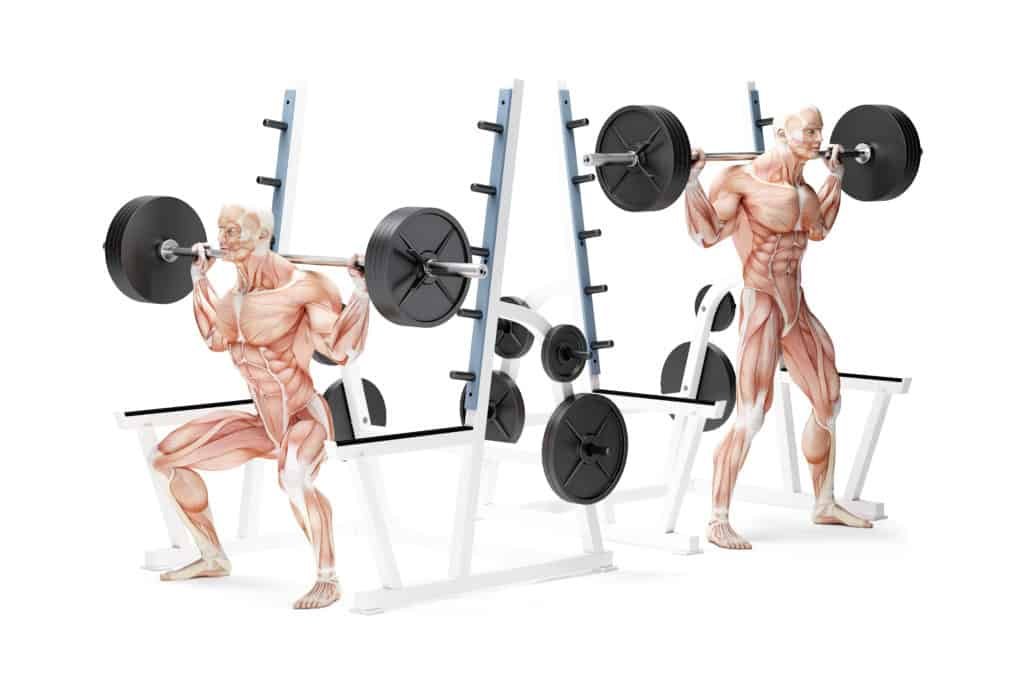 Compound Exercises For Better Results:Squats