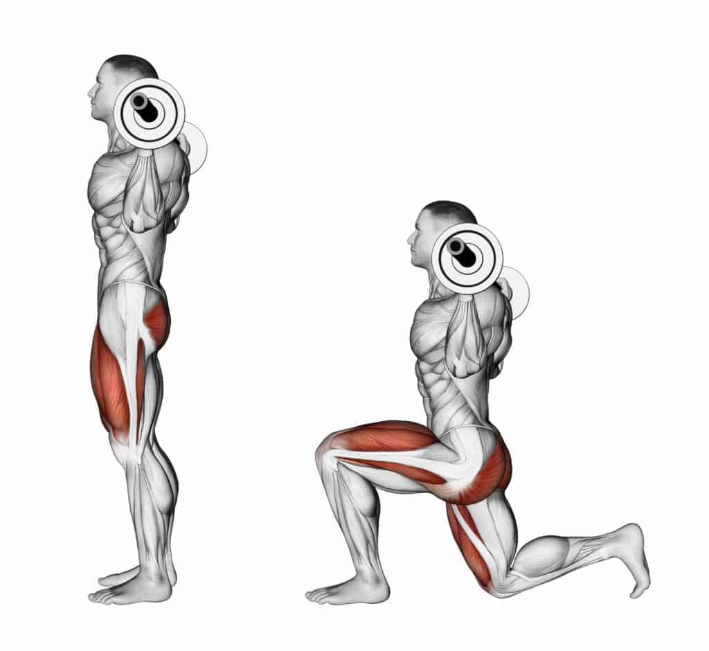 List of Compound exercises:lunges