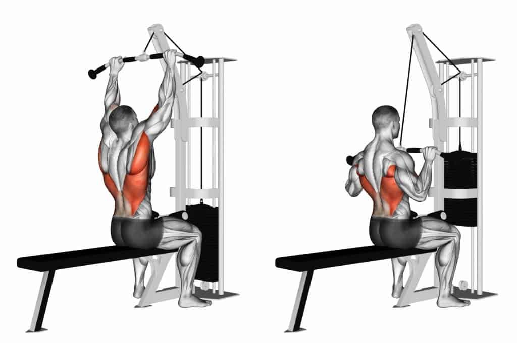 List of Compound exercises:Lat Pull down