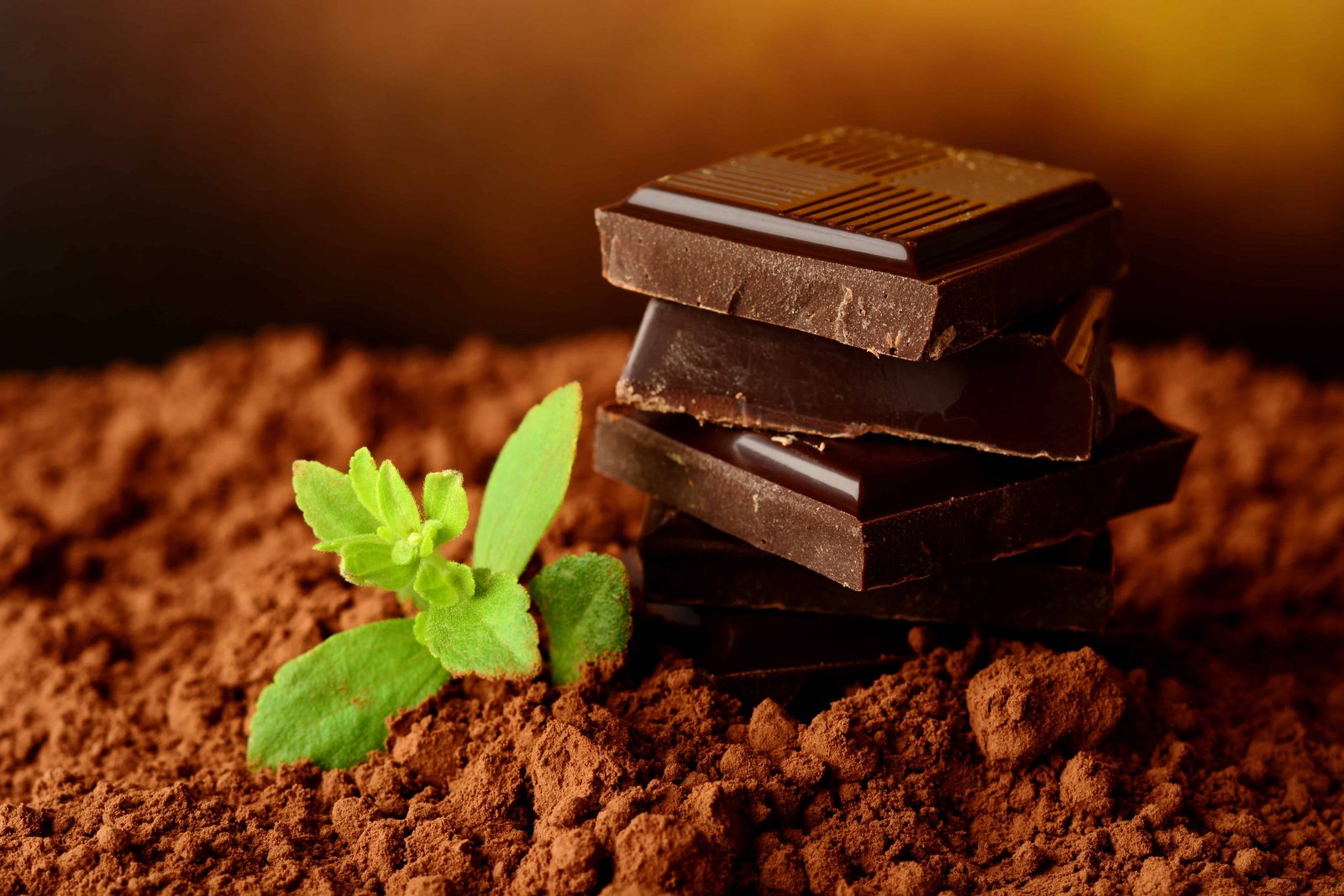 Why You Should Consider Dark Chocolate Part Of Your Diet