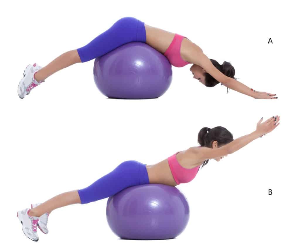 stability ball:back extension