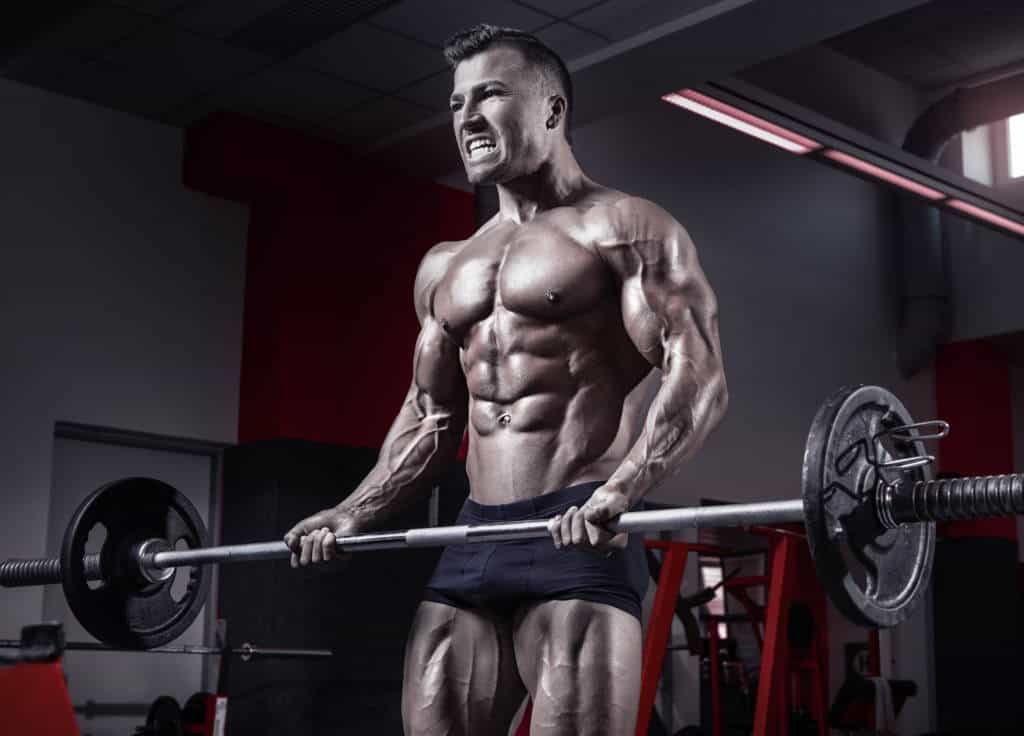 How body types dictate your muscle growth