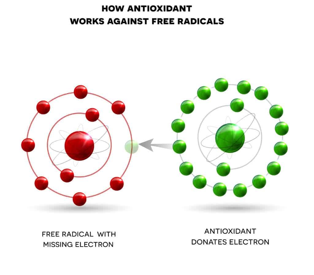 how do antioxidants work