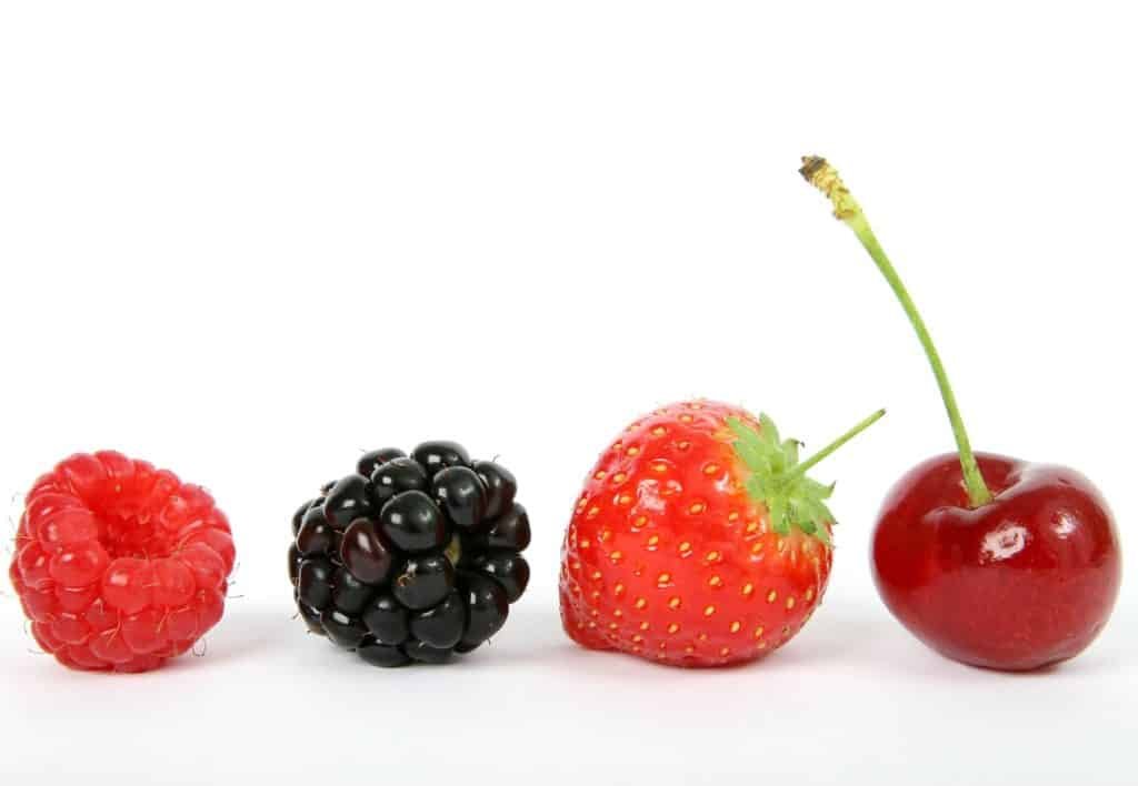 functional foods:berries