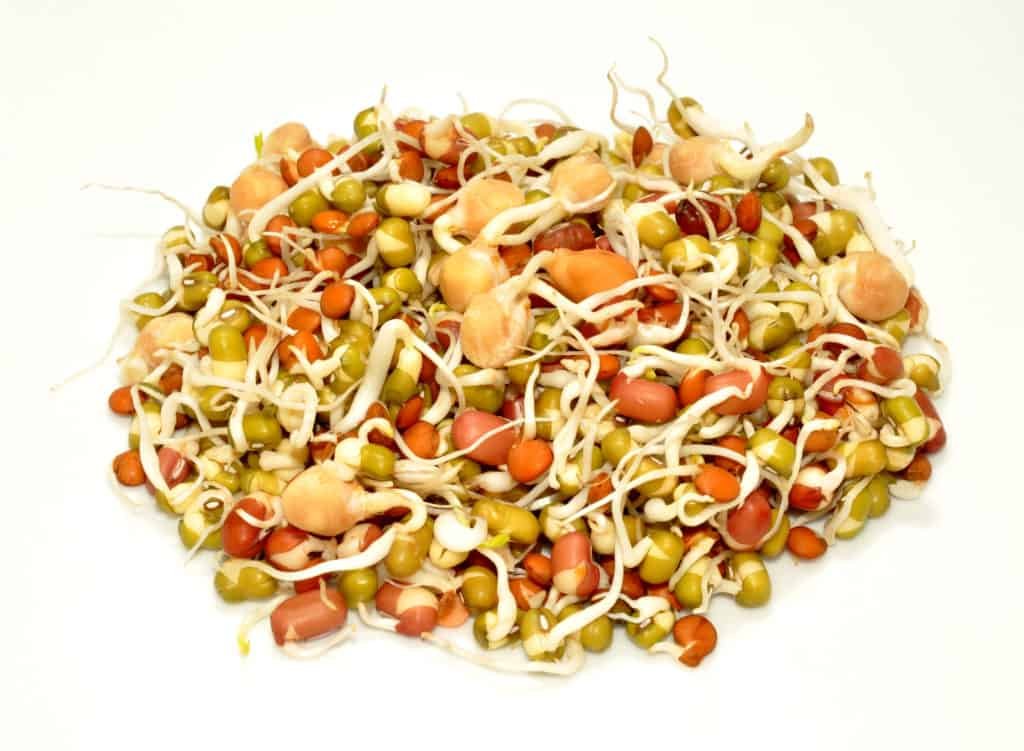 How to reduce intake of Antinutrients:Sprouting