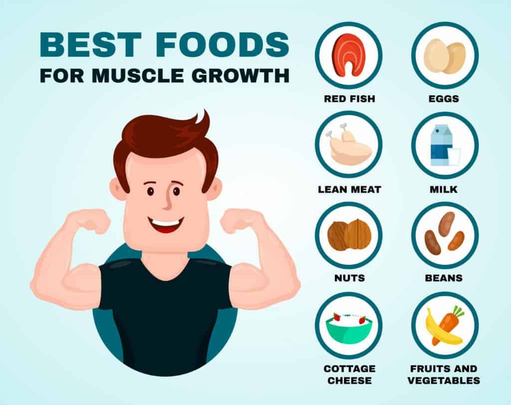 Discover the 18 best foods for muscle growth