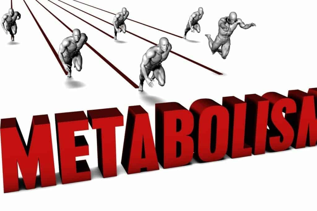 Metabolic Change And Losing Weight