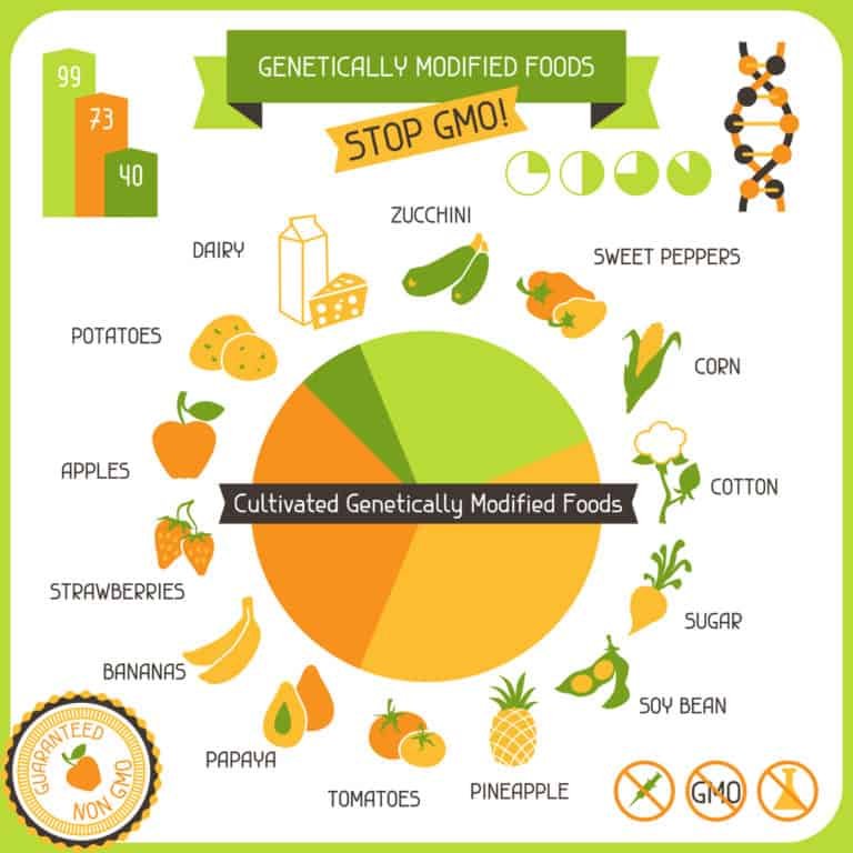 Safe Or Harmful? The Reality Behind GMO Foods