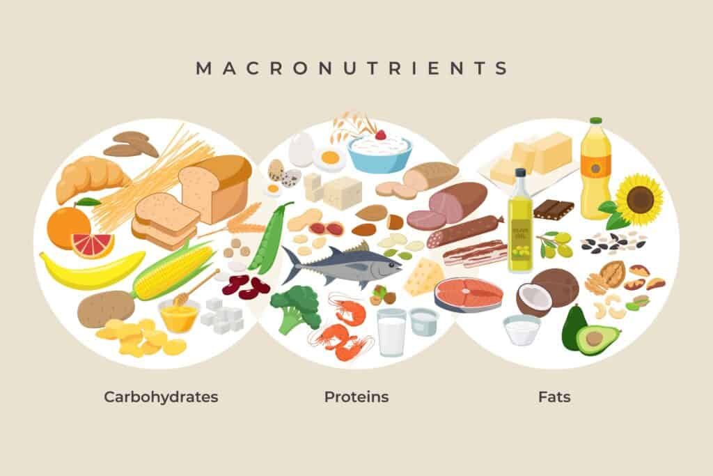 Main food groups - macronutrients. Carbohydrates, fats and proteins in comparison